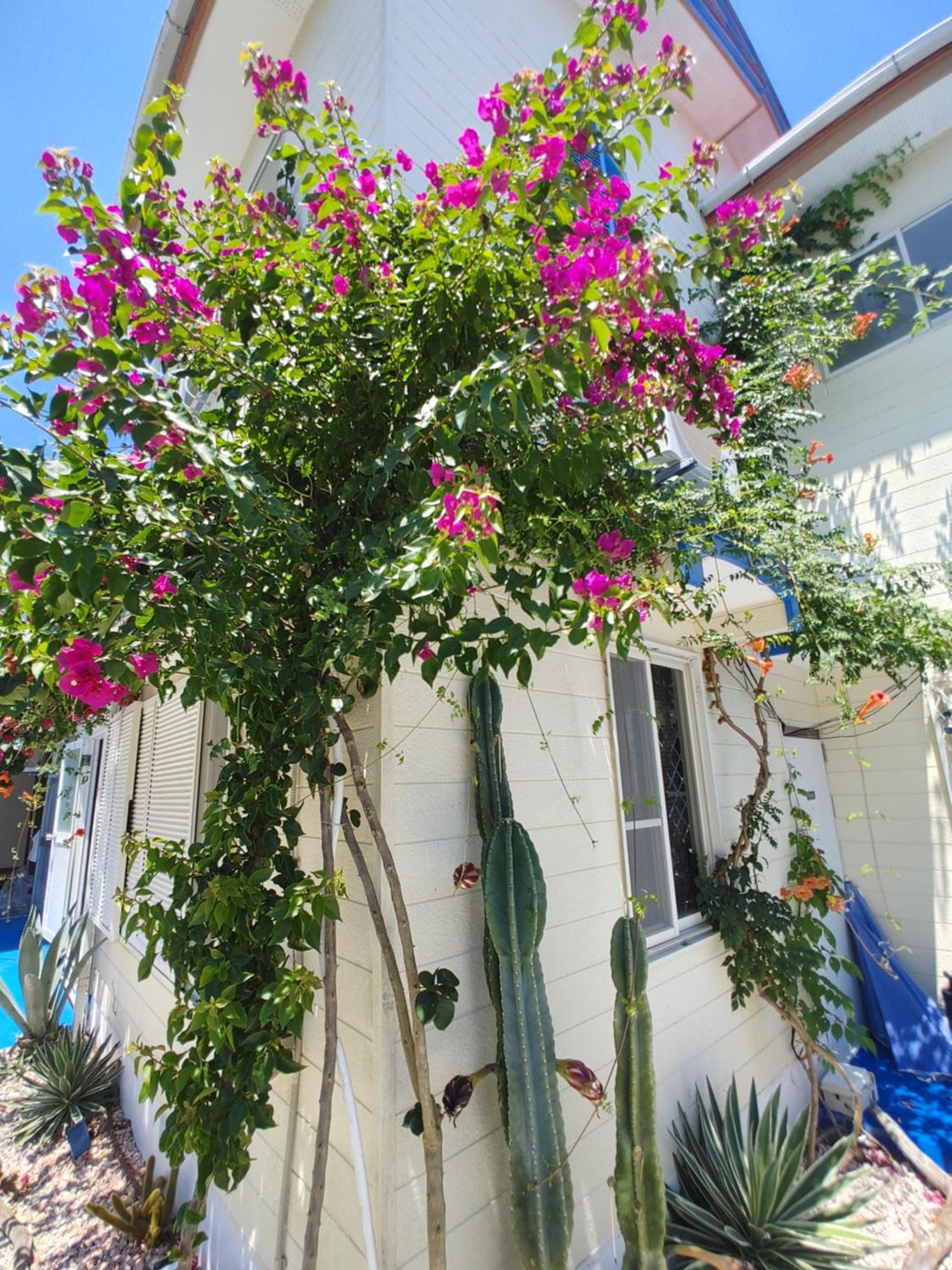 Guest House Churaumi Шимода Екстериор снимка